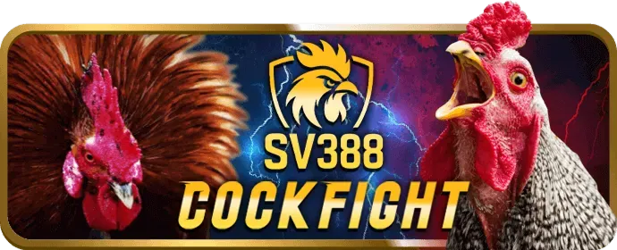 Chương trình hoàn trả casino