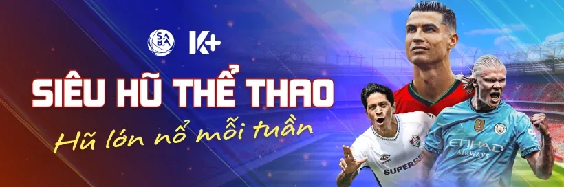 Cookie hiệu suất để cải thiện trang web 288bet