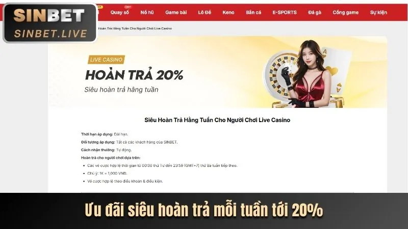Cookie từ bên thứ ba trên nền tảng 288bet